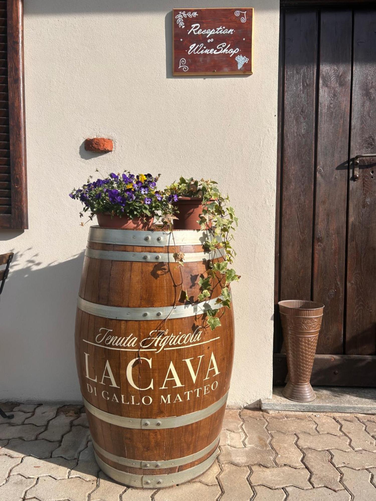 Tenuta Agricola La Cava- Cantina E Agriturismo San Damiano d'Asti Exterior photo